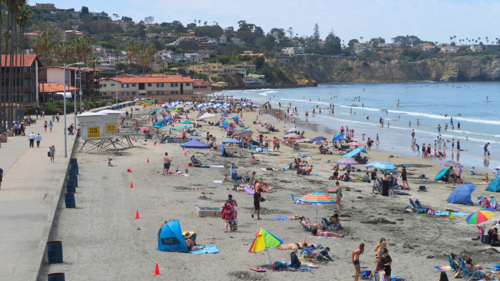 people at beach on la jolla shores