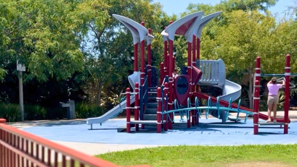 picture of park with playground