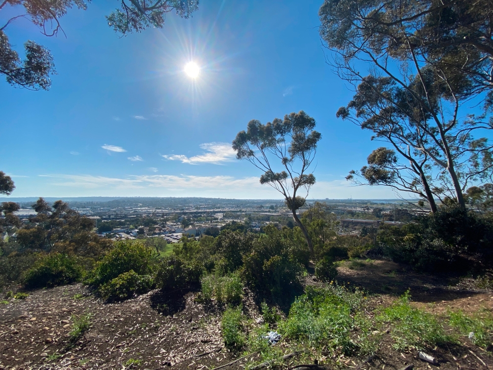 presidio park