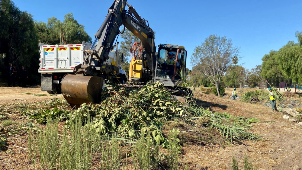 stormwater channel clearing