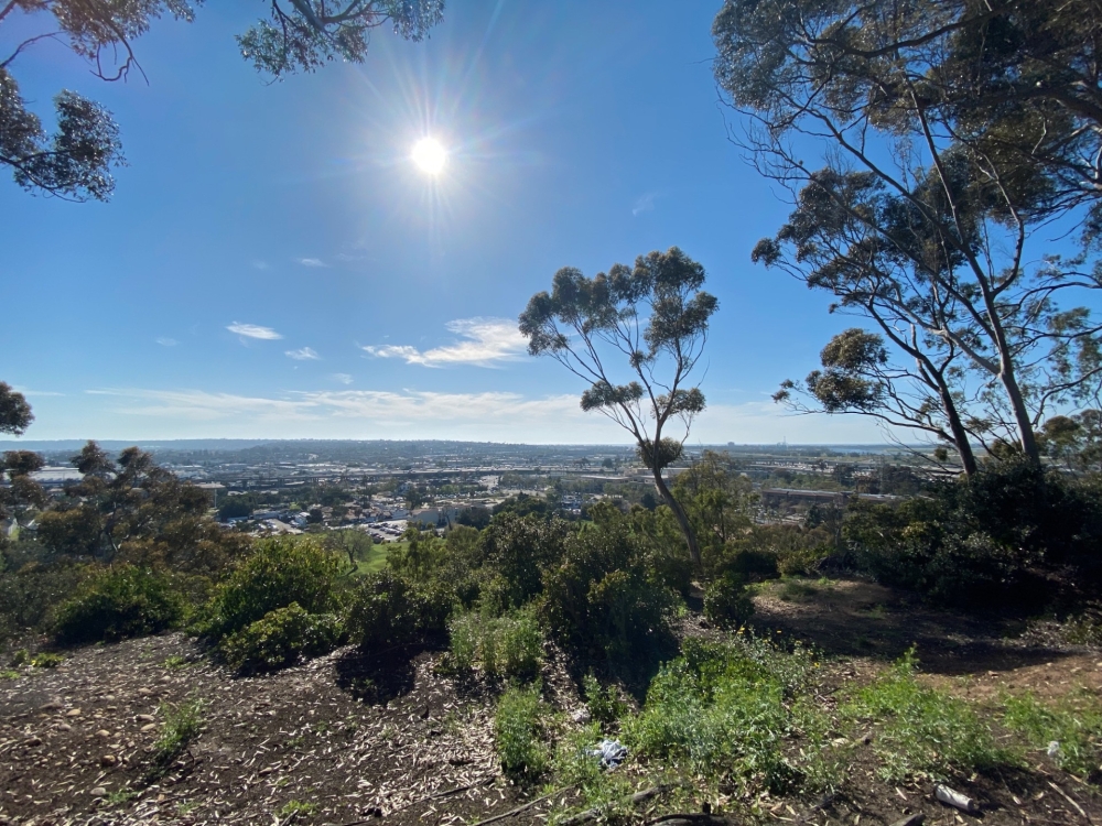 Presidio Park