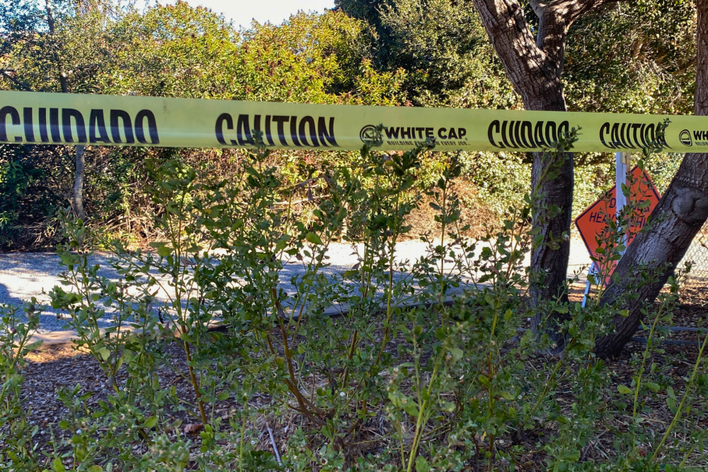 Tecolote Canyon Signage