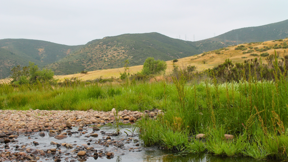 mission trails 