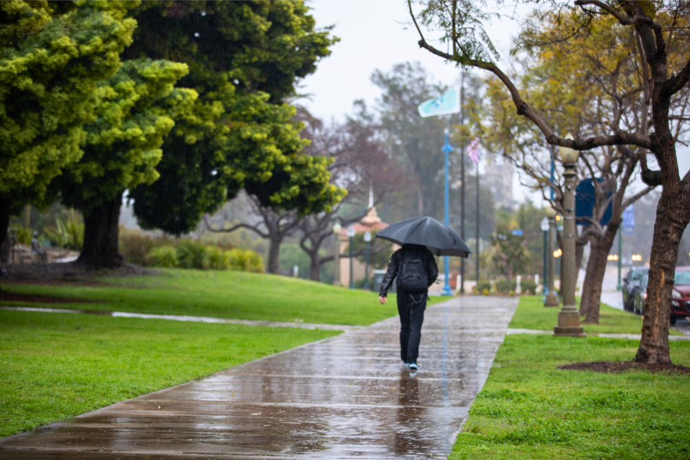 Walking in a park on a rainy day.