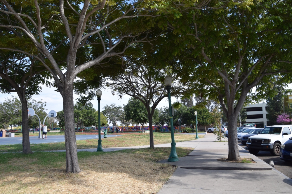 group of trees in a park surrounded by light posts&#44; a parking lot and a basketball court