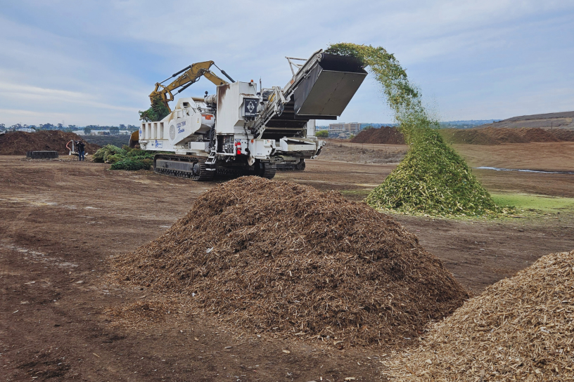 Christmas Tree Recycling