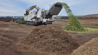 Christmas Tree Recycling