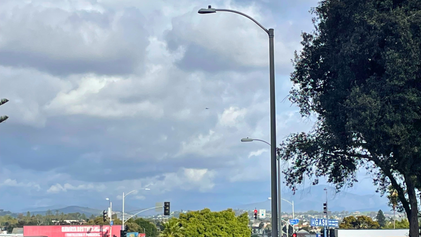 side view of a street light that is on the list for repair. Background includes tree and streetlights