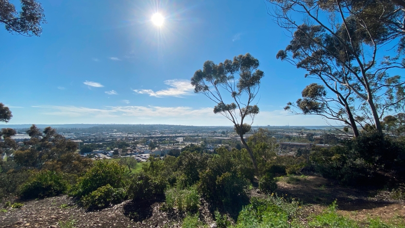 presidio park