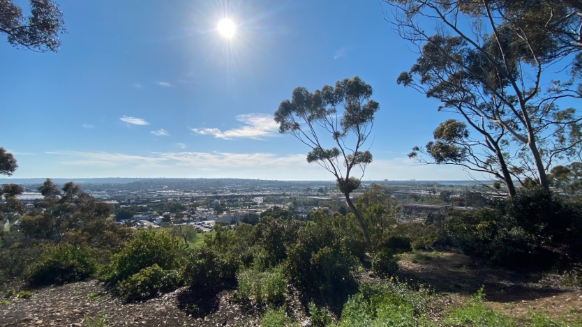 Presidio Park