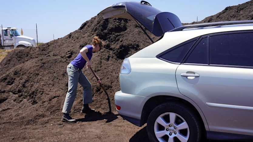 Woman digging compost