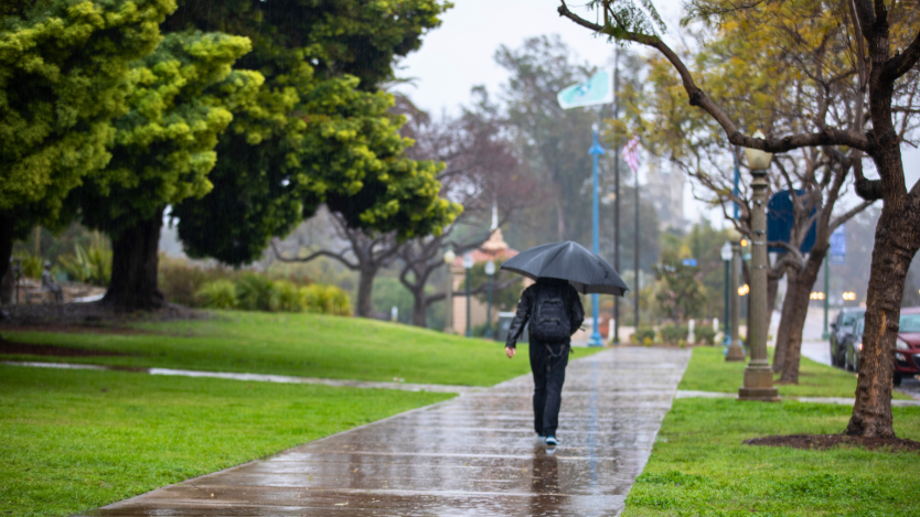 Walking in a park on a rainy day.