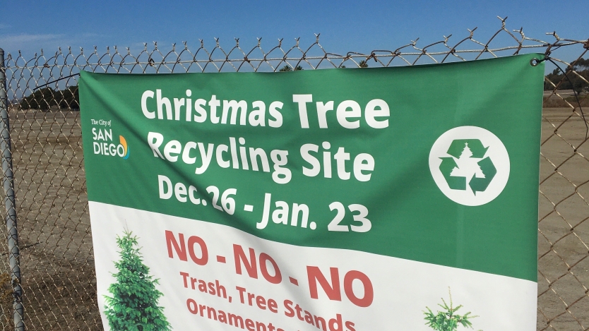 Christmas Tree recycling program